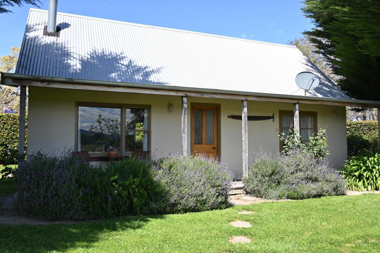 St Leonards Vineyard Cottages Blenheim Dış mekan fotoğraf